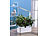 Carlo Milano 2er Set ganzjahres Gewächs- & Anzucht-Stationen, LEDs, Timer, 1,5 l Carlo Milano Intelligente Pflanzen-Anzucht-Systeme mit LED-Licht und Timer
