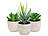 Pflanze: Carlo Milano 6er-Set künstliche Deko-Sukkulenten mit Töpfen, je 8, 9 und 15 hoch