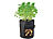Royal Gardineer 3er-Set Pflanzen-Wachstumssäcke, je 18 l, Tragegriffe, Erntefenster Royal Gardineer Pflanzen-Wachstumssäcke-Sets
