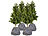 Royal Gardineer 4er-Set Thermo-Topfschutz für Pflanzen, 50x45 cm, Drainage, anthrazit Royal Gardineer 