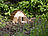Royal Gardineer Wetterfestes Igelhaus mit Schindeldach aus Echtholz, Bausatz Royal Gardineer Igelhaus-Bausätze