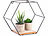 Carlo Milano 3er-Set Hexagon-Metall-Wandregale, 3 verschiedene Größen, schwarz Carlo Milano Hexagon-Wandregale