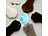 Sweetypet 2er-Set Akku-Katzenspielzeuge mit LED-Licht, blau und pink Sweetypet Akku-Katzenspielzeuge mit LED