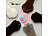 Sweetypet 2er-Set Akku-Katzenspielzeuge mit LED-Licht, blau und pink Sweetypet Akku-Katzenspielzeuge mit LED
