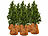Royal Gardineer 8er-Set Thermo-Topfschutz für Pflanzen, 40x40 cm, mit Drainage, braun Royal Gardineer Thermo-Topfschutze für Kübelpflanzen
