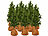 Royal Gardineer 12er-Set Thermo-Topfschutz für Pflanzen, 40x40 cm, mit Drainage, braun Royal Gardineer Thermo-Topfschutze für Kübelpflanzen