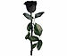 St. Leonhard Infinity-Rose "schwarz" mit Stiel, 3 - 5 Jahre haltbar, 28 x 5 cm St. Leonhard Infinity-Rosen