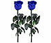 St. Leonhard 2er-Set Infinity-Rosen "blau" mit Stiel, 3 - 5 Jahre haltbar, 28 x 5cm St. Leonhard Infinity-Rosen