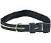 infactory Sicherheits-LED-Leucht-Hundehalsband "Neon Light" infactory Hunde Leuchthalsbänder