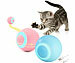 Sweetypet 2er-Set Akku-Katzenspielzeuge mit LED-Licht, blau und pink Sweetypet Akku-Katzenspielzeuge mit LED
