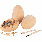 Playtastic 2er-Set Dinosaurier-Ausgrabungssets, je 12 Eier, Werkzeug, ab 6 Jahren Playtastic Dinosaurier-Ausgrabungssets mit Werkzeug 