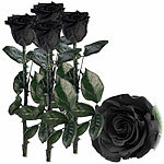 St. Leonhard 4er-Set Infinity-Rosen "schwarz" mit Stiel, 3-5 Jahre haltbar, 28x5cm St. Leonhard Infinity-Rosen