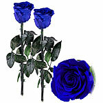 St. Leonhard 2er-Set Infinity-Rosen "blau" mit Stiel, 3 - 5 Jahre haltbar, 28 x 5cm St. Leonhard Infinity-Rosen