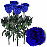 St. Leonhard 4er-Set Infinity-Rosen "blau" mit Stiel, 3 - 5 Jahre haltbar, 28 x 5cm St. Leonhard Infinity-Rosen