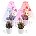 Lunartec 4er-Set Höhenverstellbare Vollspektrum-LED-Pflanzenlampe mit 48 LEDs Lunartec Höhenverstellbare Vollspektrum-LED-Pflanzenlampen