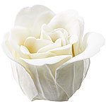 PEARL 6 cremeweiße Rosen-Duftseifen in Geschenk-Box, 4er Pack PEARL Rosenblüten-Duftbäder