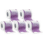 infactory Toilettenpapier mit aufgedruckten 500-Euro-Noten, 2-lagig, 1.000 Blatt infactory Fun-Toilettenpapier-Rollen