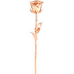 St. Leonhard Echte Rose für immer schön, mit 18-karätigem* Roségold veredelt, 28 cm St. Leonhard Echte Rose vergoldet