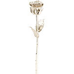 St. Leonhard Echte Rose für immer schön, mit 18-karätigem* Platin veredelt, 28 cm St. Leonhard ECHTE Rosen platiniert