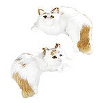 PEARL Katzenpaar f&uuml;r LCD/Plasmamonitore/-fernseher liegend PEARL TFT-Monitore