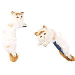 PEARL H&auml;ngendes Katzenpaar f&uuml;r Monitore und R&ouml;hrenfernseher PEARL TFT-Monitore