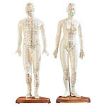 newgen medicals Akupunktur-Figuren 2er-Set (Mann/Frau) newgen medicals