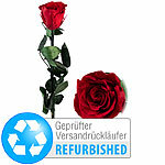 St. Leonhard Rose für die Ewigkeit "rot" mit Stiel, Versandrückläufer St. Leonhard Infinity-Rosen 