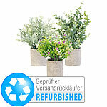 Carlo Milano 3er-Set künstliche Deko-Pflanzen mit Töpfen, Versandrückläufer Carlo Milano Kunstpflanzen im Topf