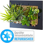 Carlo Milano Vertikaler Wandgarten Anna, 30 x 25 cm (Versandr&uuml;ckl&auml;ufer) Carlo Milano Wandg&auml;rten