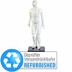 newgen medicals Akupunktur-Modell Mann, Versandrückläufer newgen medicals Akupunktur-Puppen