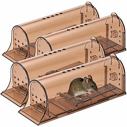 Exbuster 4er-Set Mäuse-Lebendfallen mit Luftlöchern, extragroß, 19 x 6,2 x 7 cm Exbuster Lebend-Mausefallen