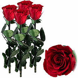 St. Leonhard 4er-Set Rosen für die Ewigkeit "rot" mit Stiel, 3 - 5 Jahre haltbar St. Leonhard Infinity-Rosen 