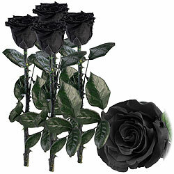 St. Leonhard 4er-Set Infinity-Rosen "schwarz" mit Stiel, 3-5 Jahre haltbar, 28x5cm St. Leonhard Infinity-Rosen