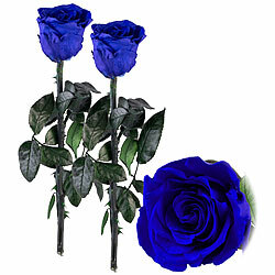St. Leonhard 2er-Set Infinity-Rosen "blau" mit Stiel, 3 - 5 Jahre haltbar, 28 x 5cm St. Leonhard Infinity-Rosen