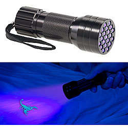 PEARL 2in1-UV-Taschenlampe und Geldscheinprüfer, 21 LEDs und Batteriebetrieb PEARL
