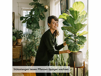 Royal Gardineer Sttzstab fr Pflanzen: 20er-Set Rankhilfe-Pflanzenstbe,  20 Pflanzenhalter, 10 Stabverbinder (Pflanzenaufsteller)