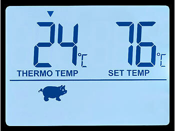 Rosenstein & Söhne 2er-Set Braten- & Ofenthermometer, digital, Timer, Messbereich 0-300°C