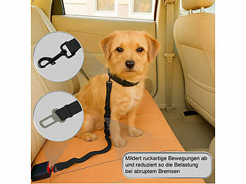 Anschnallgurte Hund 