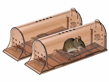 Mausefalle: Exbuster 2er-Set Mäuse-Lebendfallen mit Luftlöchern, extragroß, 19 x 6,2 x 7 cm 
