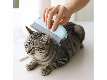 Teppichbürste Reinigung 