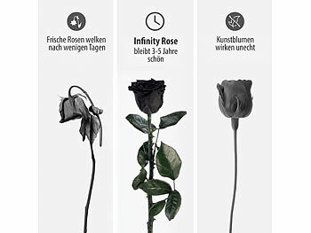 Konservierte Rose für Allergiker