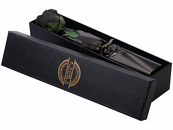 St. Leonhard 2er-Set Infinity-Rosen "schwarz" mit Stiel, 3-5 Jahre haltbar, 28x5cm