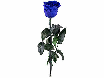 Blätter Mütter Geburtstagsgeschenke Jahre stabilisierte Kunstrosen Dekore Romantik Weihnachten