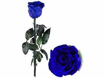 Blüte Kunstblume Edelrose Dekoration Rosenblatt Deko Mama Flowerbox Blumenbox