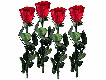 St. Leonhard 4er-Set Rosen für die Ewigkeit "rot" mit Stiel, 3 - 5 Jahre haltbar 