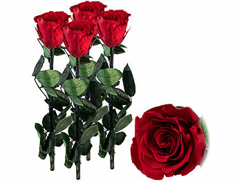 Infinity-Rose: St. Leonhard 4er-Set Rosen für die Ewigkeit "rot" mit Stiel, 3 - 5 Jahre haltbar 