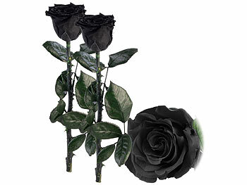 Ewige Rose Box: St. Leonhard 2er-Set Infinity-Rosen "schwarz" mit Stiel, 3-5 Jahre haltbar, 28x5cm