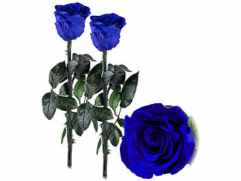 Echte Konservierte Rose: St. Leonhard 2er-Set Infinity-Rosen "blau" mit Stiel, 3 - 5 Jahre haltbar, 28 x 5cm