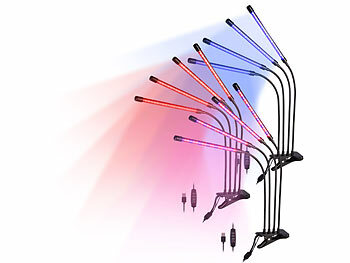 LED-Lichter für Pflanzen in Innenräumen