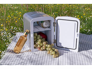 Rosenstein & Söhne Mobiler Mini-Kühlschrank mit Wärmefunktion, 4 Liter, 12 & 230 V